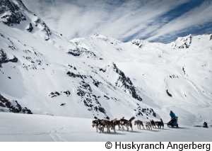 Huskyranch-Angerberg