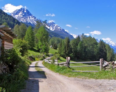 Forstweg in der Nähe von Nauders