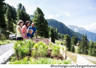 ZirbenPark am Hochzeiger