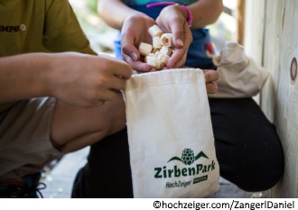 ZirbenPark am Hochzeiger